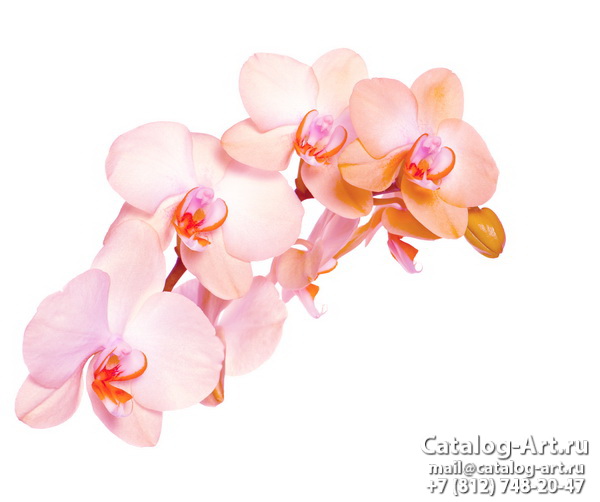 картинки для фотопечати на потолках, идеи, фото, образцы - Потолки с фотопечатью - Розовые орхидеи 76